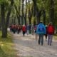 Erfolgswandertag im Wiener Prater