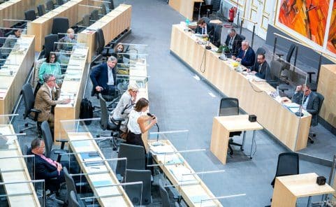 Geteilte Meinungen über neue Corona-Gesetze der Regierung beim Expertenhearing