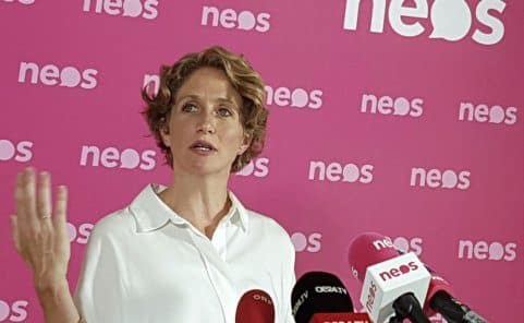 Neos-Sicherheitssprecherin Stephanie Krisper spricht von Ablenkung