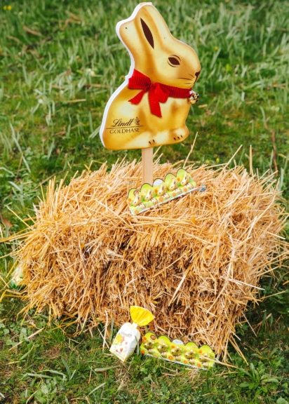 Bei der Goldhasensuche werden Lindt-Köstlichkeiten im Schlosspark Schönbrunn versteckt.