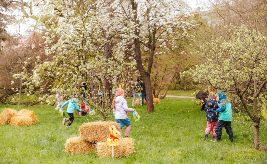 Schatzsuche, Gartenspiele, Kinderschminken erwartet Besucher beim Goldhasenfest.