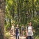 Geführte Routen durch den Wienerwald starten etwa im Hotel Schlosspark Mauerbach.