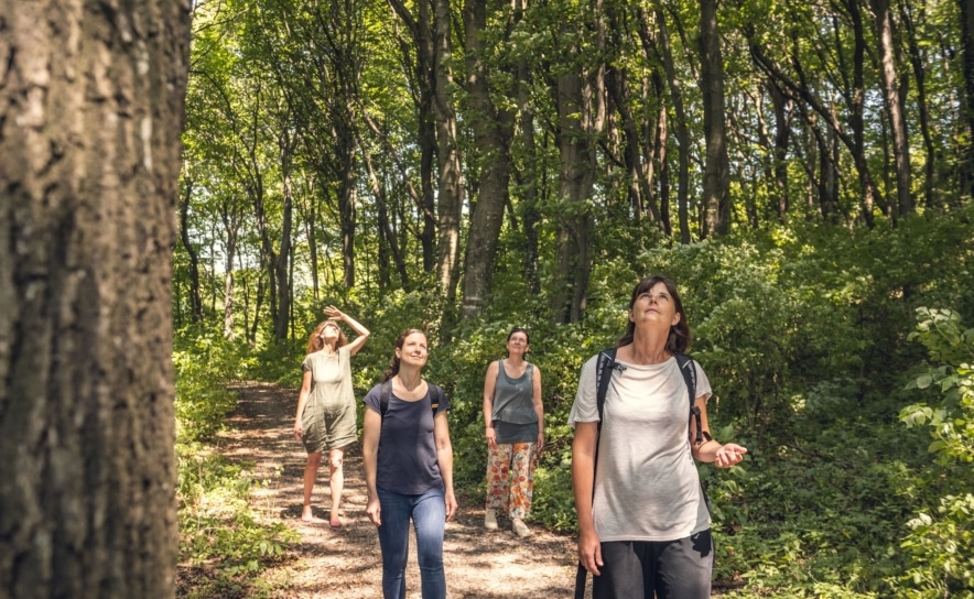 Geführte Routen durch den Wienerwald starten etwa im Hotel Schlosspark Mauerbach.